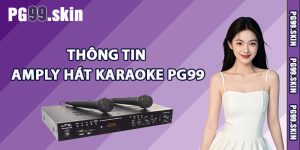 Thông tin amply hát karaoke PG99